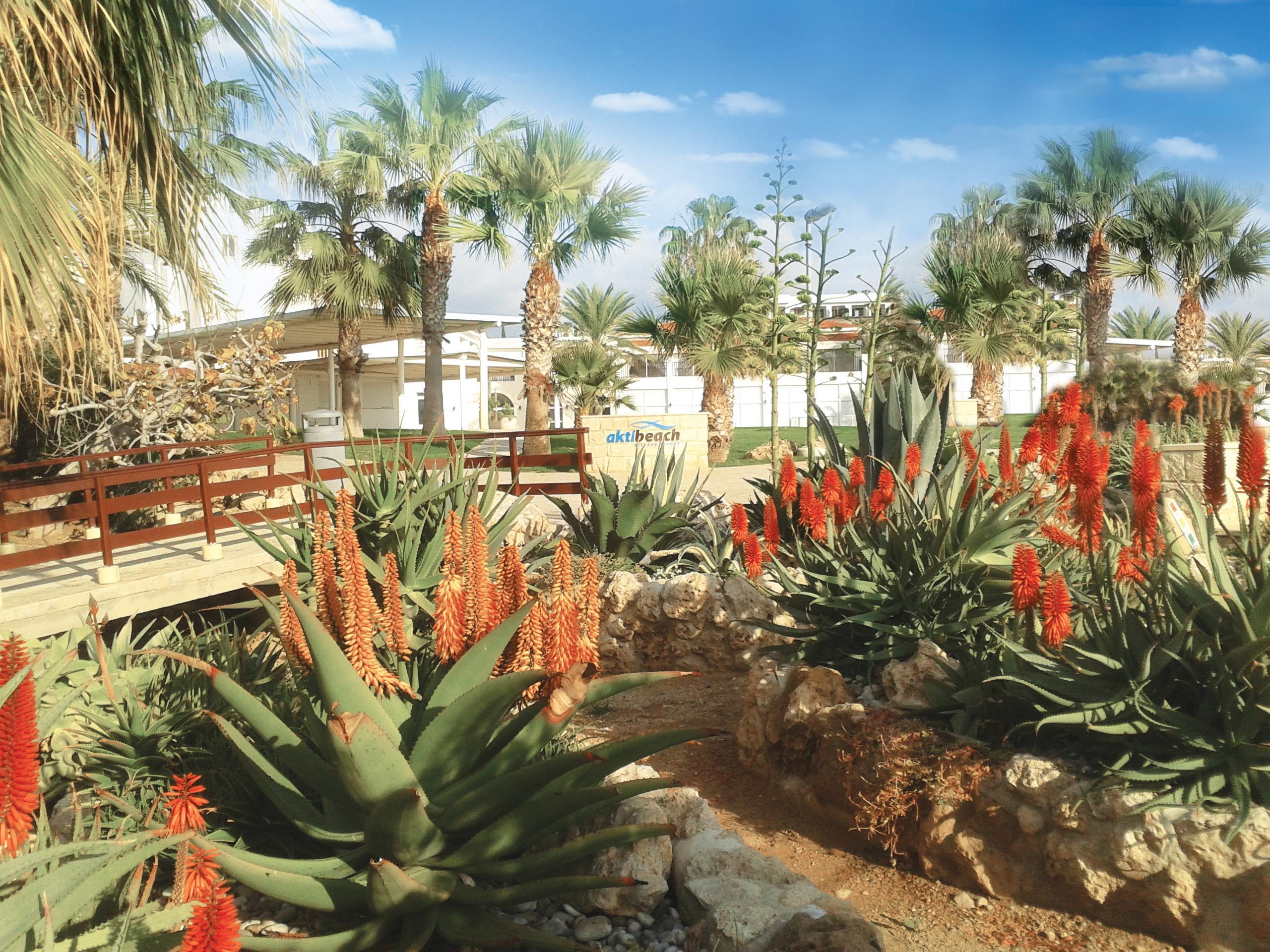 Akti Beach Hotel & Village Resort Klorakas Exterior photo